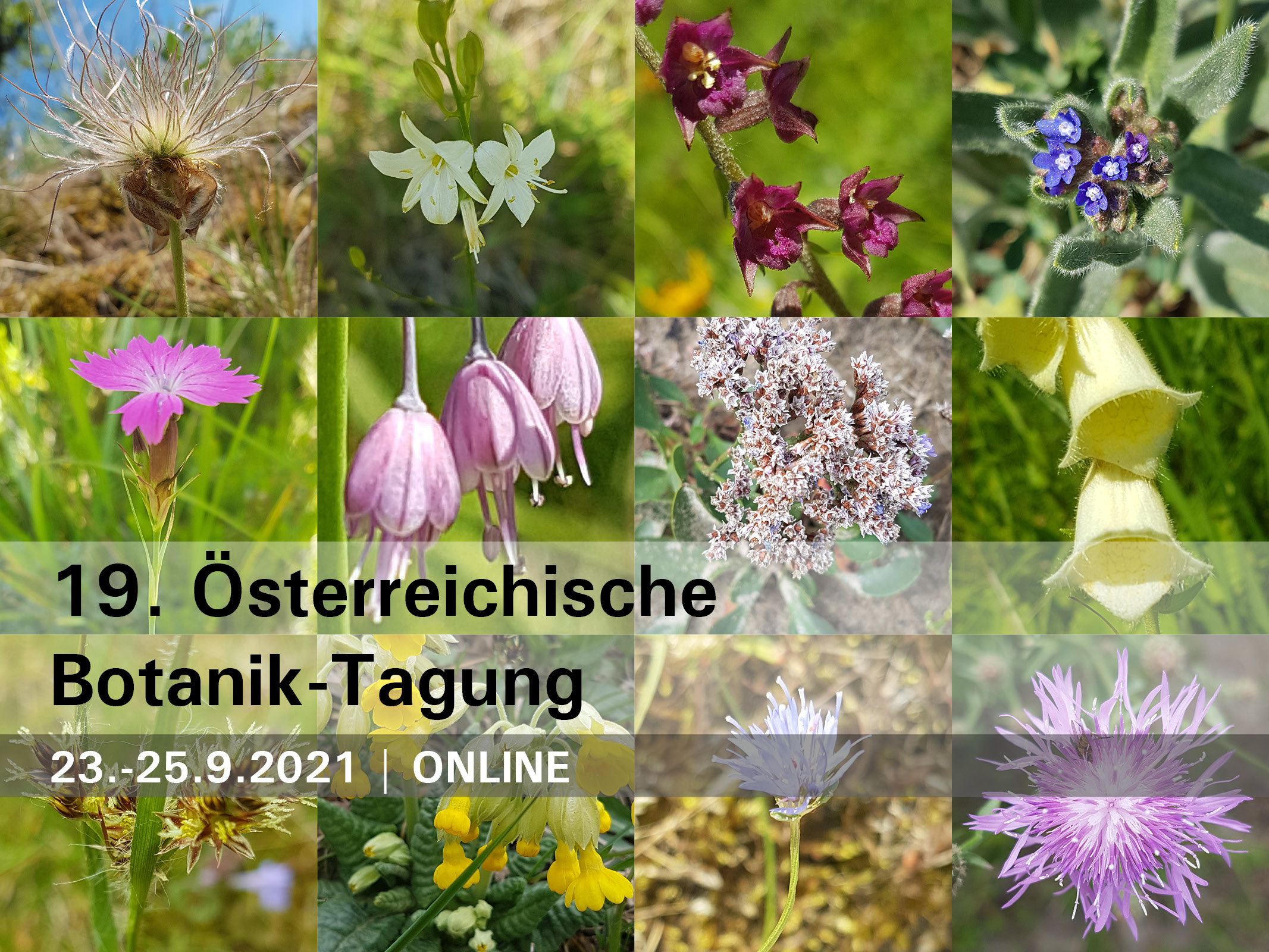 Botanik ung Biodiversitatshub